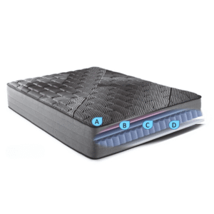 Lux Ice Firm - 422BX | Direct Outlet